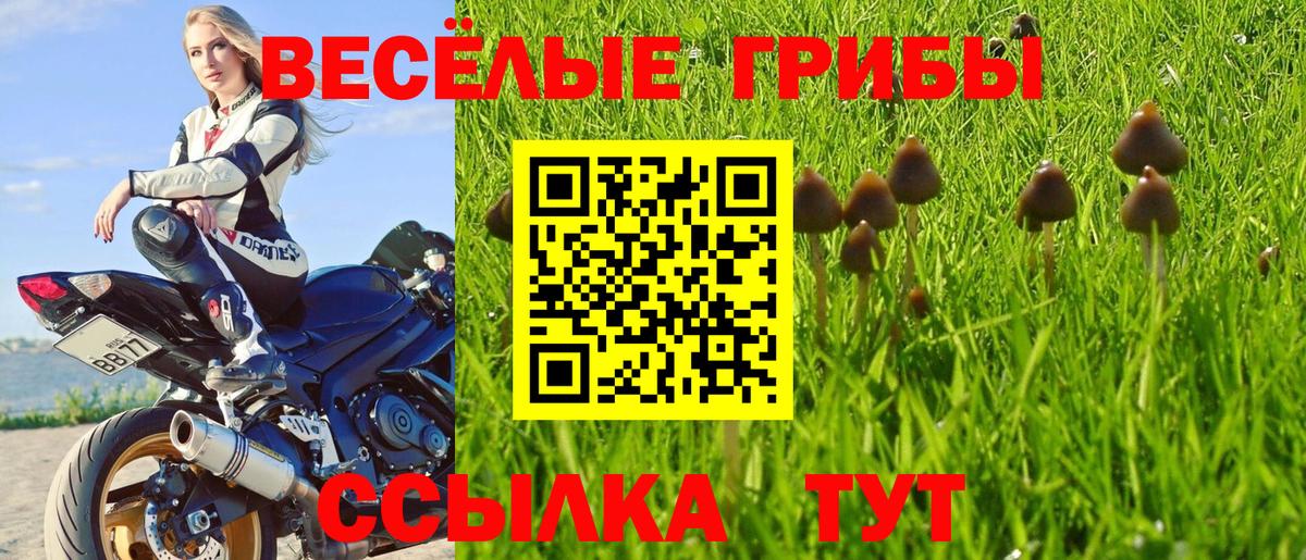 Галлюциногенные грибы прущие грибы Киров