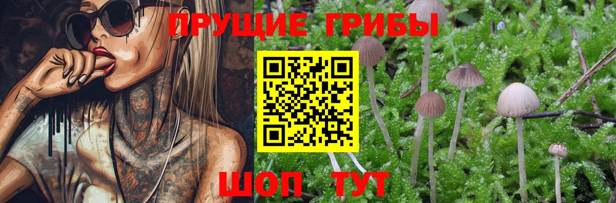 Киров  Псилоцибиновые грибы Magic Shrooms  Галлюциногенные грибы мицелий  Вход с VPN 
